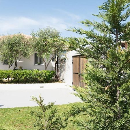 Pierina House Villa Tsilivi  Dış mekan fotoğraf